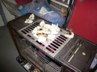 �X�g�[�u�ŏĂ���